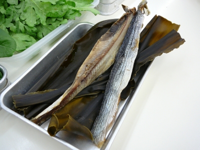 1101 Akishi herring.JPG