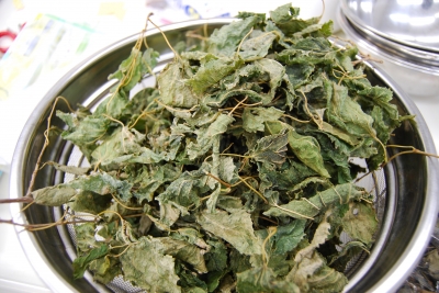 Tè di foglie di gelso.JPG