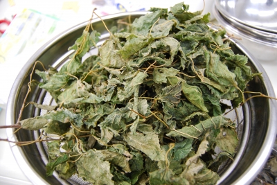 桑の葉茶.JPG