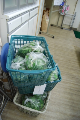 1117野草量.JPG