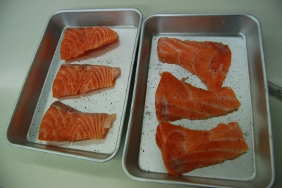 1125 Master salmon lower.JPG