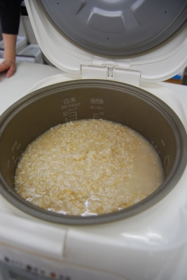 1129S Fermented amazake cooked rice.JPG