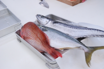 603研修宮田2.JPG
