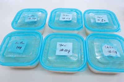 803試食用アイス.JPG